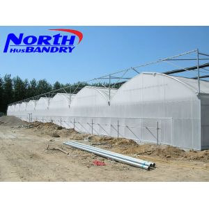 China agricultural poly film greenhouse for sale in China on sale