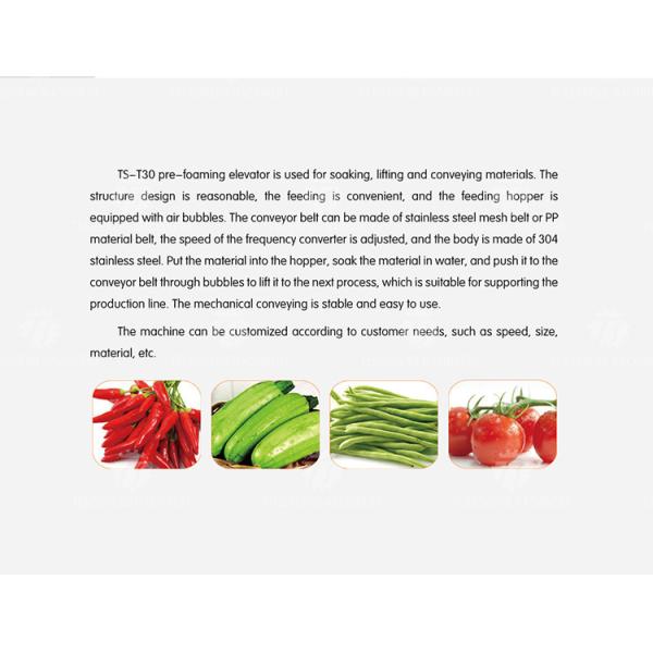 380V 0.375KW Stainless steel lifting conveyor food fruit and vegetable conveyor net belt lifting conveyor