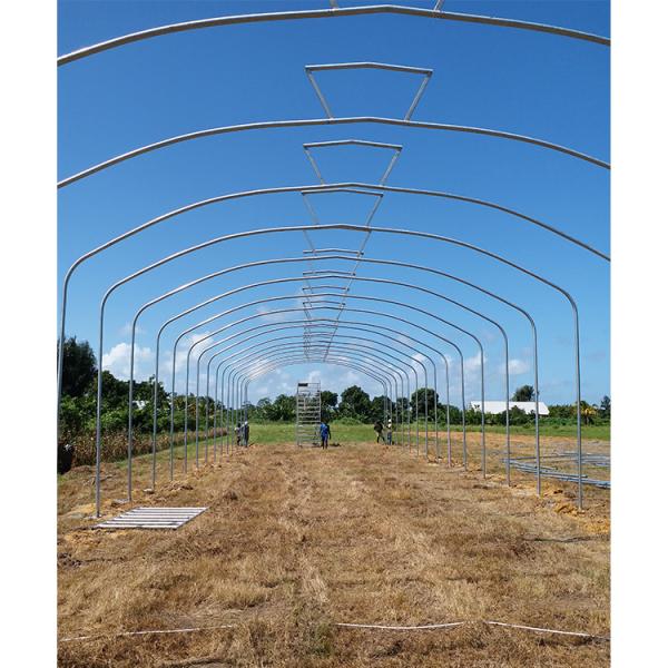 Umbrella Structure Agricultural Greenhouse 8m Height Wide Span Greenhouse
