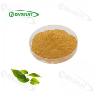 China Camellia Sinensis Instant Green Tea Powder Extract 20% -50% Polyphenols / Food Beverage wholesale