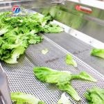 Vibration Air Dryer Vegetable Fruit Leaves Vegetables Saiko persimmon Ginger