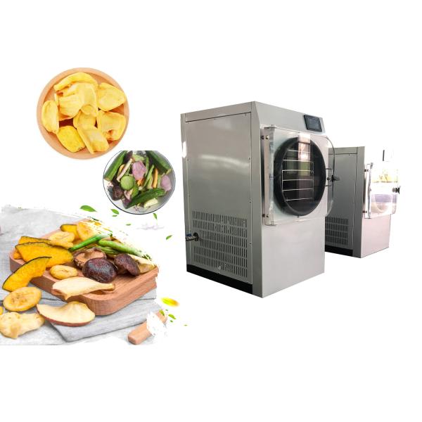 Cold Trap Home Freeze Dryer Machine Electric Heating Fruit Freeze Drying Machine