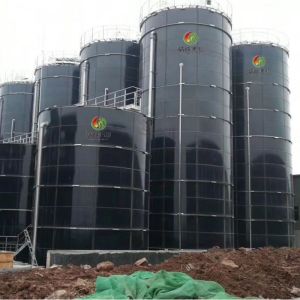 China UASB Anaerobic Reactor In Biogas And Waste Treatment Plant wholesale