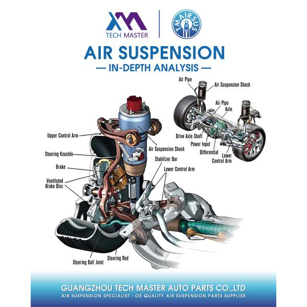 Mercedes W166 ML/GL-Class Front Air Spring Air Suspension Shock Absorber 1663201313 1663201413