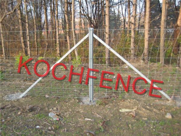 Quality Farm Use Field Wire Fence / High Tensile Game Fence Weather Resistant Durable for sale