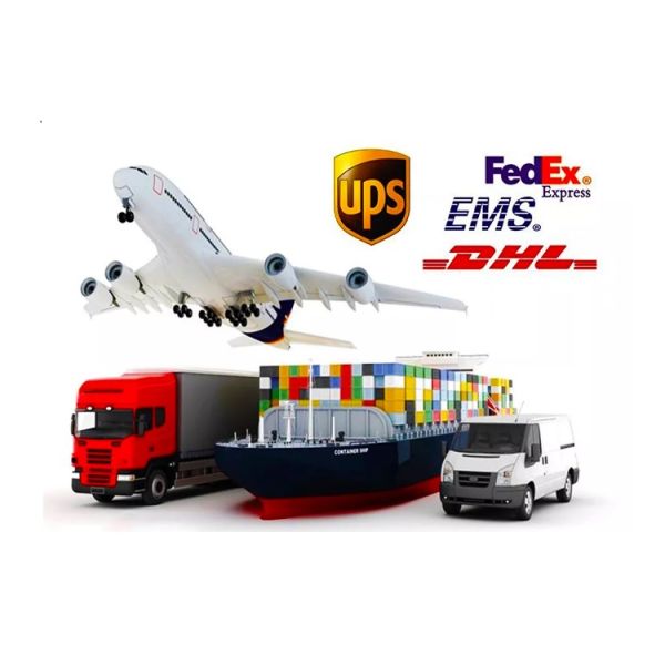 20mm Permanent Magnet 12V Micro Stepper Motor For Medical Equipment Surveillance Cameras