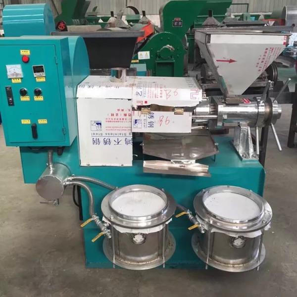 Quality Factory price oil extraction machine sale sesame oil machine for sale