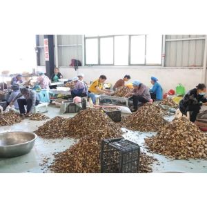 Shuntai (GZ) Health Care Industry Co.,LTD