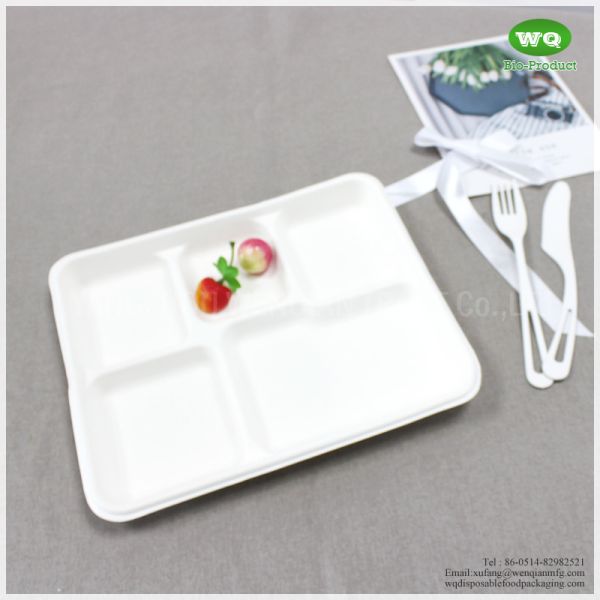 100% Biodegradable Sugarcane Pulp 5 Compartments Tray-High quality Biodegradable food tray For birthday parties