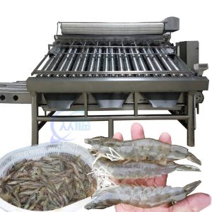 China Anti Erosion Shrimp Grading Machine Oilproof Stable 1500KG Weight wholesale