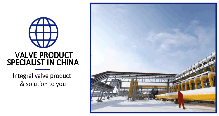 Industrial Electric Wafer Gate Valve with Manual Actuation and Screw Connection