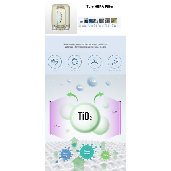 HEPA Anion 24V 12V Car Air Purifier For Buses Wall Mounted