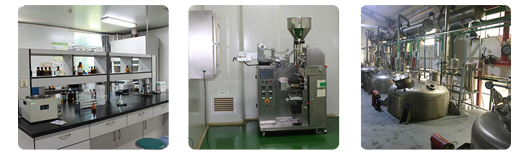 Sweet Dehydrated Vegetables Fruits Desicated Shredded Coconut Powder 40-45% Fat