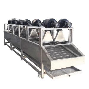China Continuous Fruit And Vegetable Processing Line Dehydrated Dried Equipment wholesale