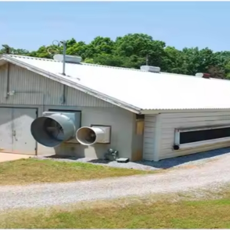 Easy Assembly Steel Structure Chicken House Customized For Poultry Farm Building