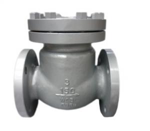 China Api 6a Flange Swing 1 Odm Stainless Steel Check Valve wholesale