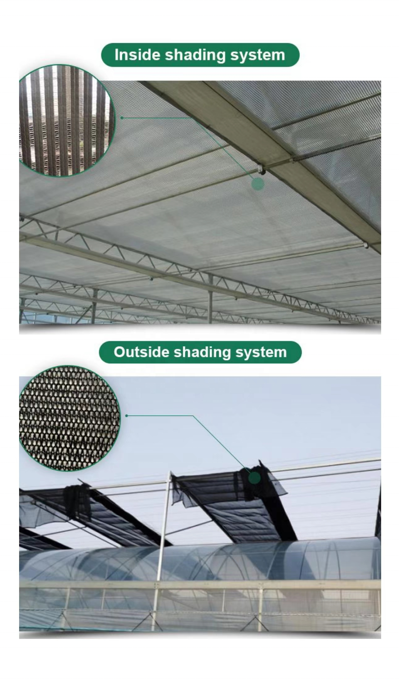 Customized Length Multi-Span Film Greenhouse for and Durability in Large-Scale Farming
