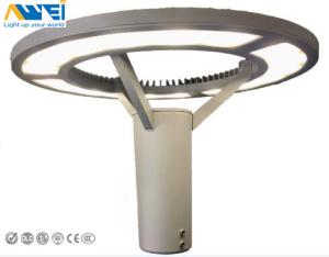 60 Watt LED Garden Light Fixtures 120° Beam Angle Meanwell driver Die casting Aluminium  Urban Led Lighting