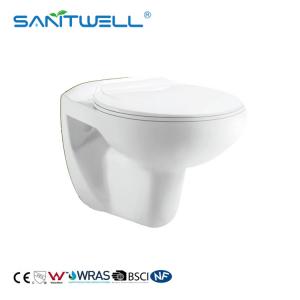 China Ceramic Wall Hung WC Rimless Toilet with Soft Closing Seat Cover wholesale