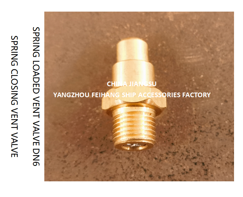 DN6 Size Spring Loaded Vent Valve with Threaded Connection Compliant to CB/T3778-1999 Standard