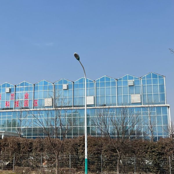 Vegetation Glass Greenhouse Shelter for Sustainable Growth