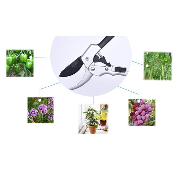 Anti Slip Grip Sk5 Carbon Steel Plant Garden Pruning Scissors Flower Pruning Shears