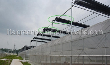 Customized Size Film Covered Poultry Farm Greenhouse Length 30-100m with Film Cover