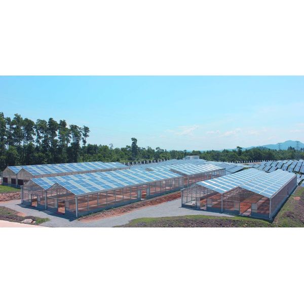 CE Steel Frame Mounting Winter Greenhouse Solar System Tin Film Module Support Structure For Green Space