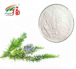 China 90% - 98% Rosmarinic Acid Powder / Rosemary Antioxidant Extract For Pharmaceutical wholesale