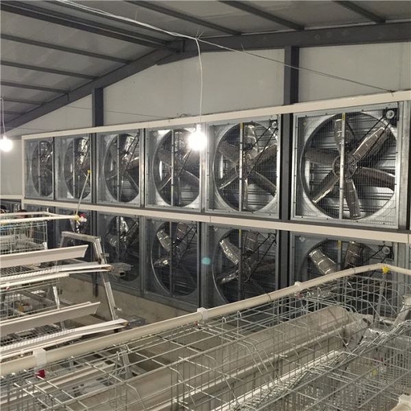Corrosion Resisting Poultry Farm Climate Control System Pressure Ventilation Fan