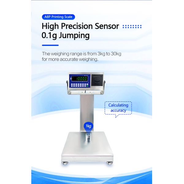 A8SP Printing Small Platform Scale with 6KG Capacity and 22cm*28cm Square Vertical Bar