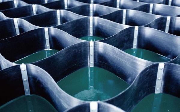 Quality High Strength Riveted PET Cellweb Root Protection System Geocell 75mm for sale