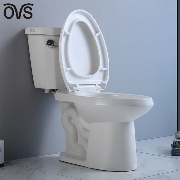 12 Rough In 2 Piece Elongated Toilet Wall Mounted 1.28 Gpf Commode