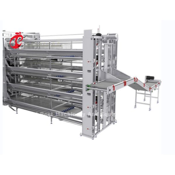 Automatic Egg Layer Chicken Farm Laying Hens Poultry Battery Cages Rose