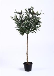China Rejuvenating Olive Tree Bonsai Regal Stature Command Attention Environmental Artificial wholesale