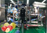 High Efficiency Apple Processing Line Fruit And Vegetable Processing Equipment