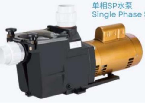 Quality 2023 SP1005  1HP Swimming Pool Water Pumps For Swimming Pool Using for sale