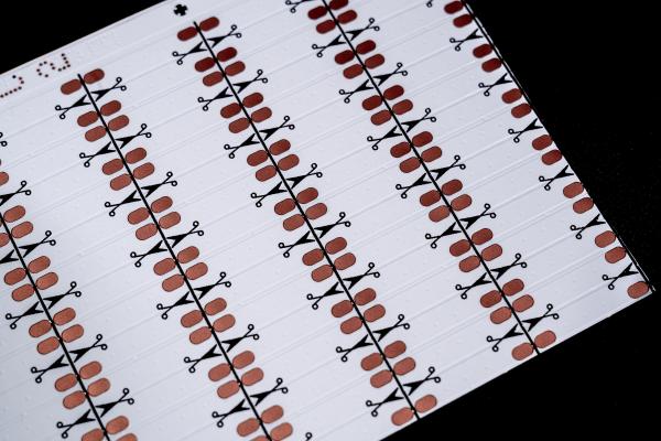 Quality HOT 5050RGBW WW fpc High-Quality Flexible PCB Fast Prototype & Mass Production Use For Led Light  Double layer circuit board, double-sided WHITE film for Led strip FPC UL E477885 for sale