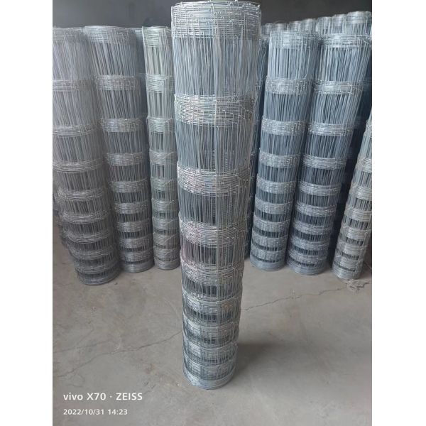 Hot Dipped Galvanized Hinge Joint Fencing For Animals Feeding