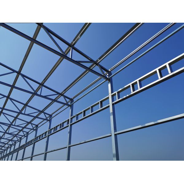 Automatic Broiler Cage Steel Poultry Houses Easy Chicken Out