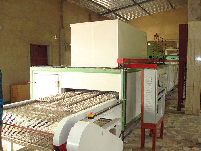 Fully Automatical Energy Saving Egg Carton Forming Machine 600 Pcs / H