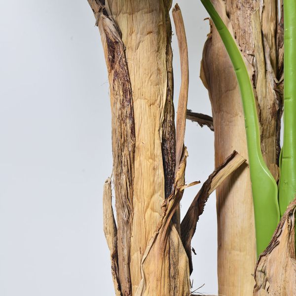 Wholesale 7 FT Artificial Banana Tree Plant | Natural Bark Trunk | Free Maintenance | Indoor Palm for Living Room & Office Decor