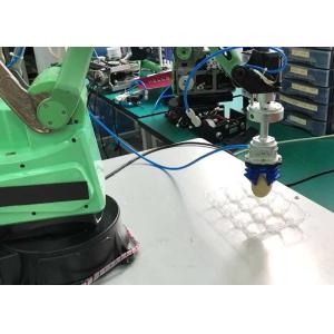 4Dof Palletizer Robot Arm Producer 1kg Payload Mini Robot Arm
