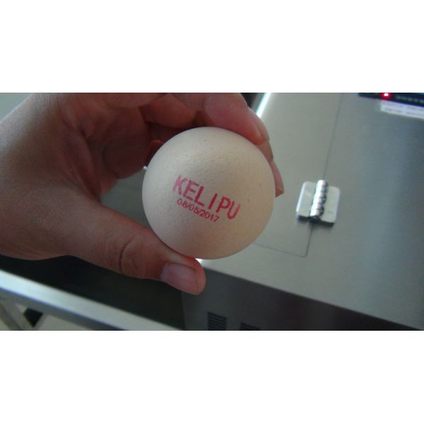 High Performance Trademarks Edible Ink Printer For Whole Tray Filled Eggs