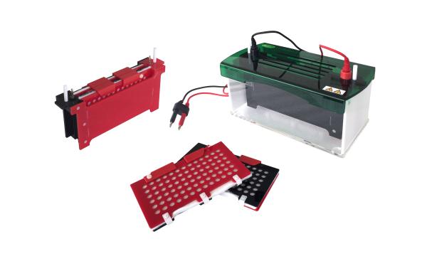 Quality Automated Western Blot System With The Color Marking On The Splint Jy-zy7 for sale