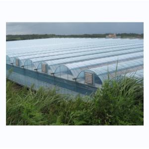 China Industrial Hydroponic Greenhouse with Super Strong Resistance Multi Span Greenhouse wholesale