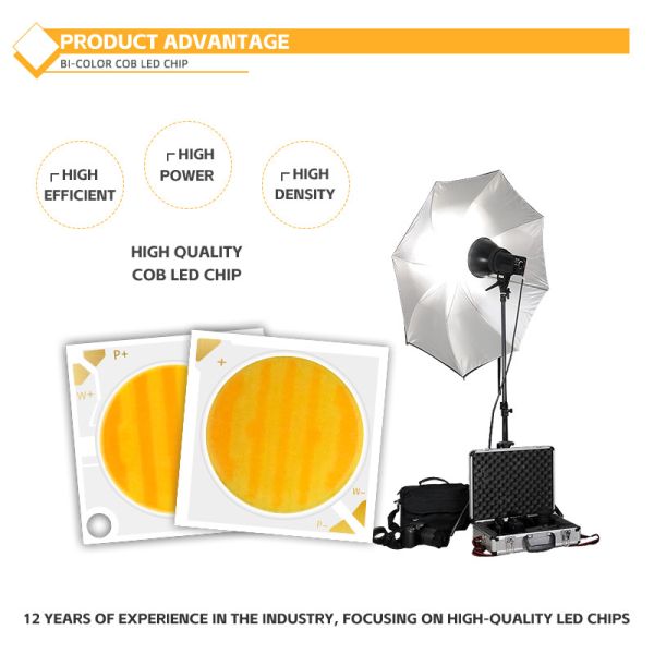 Customised Aluminum Material COB Chip 2424 in White Blue Red & Green High Brightness China Factory