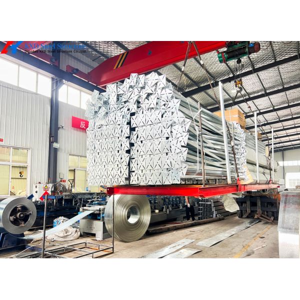 A Type H Type Battery Cage Automatic Feeding System For Broiler Poultry Farming