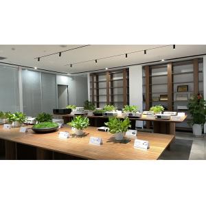 Shenzhen SMX Display Technology Co., Ltd.