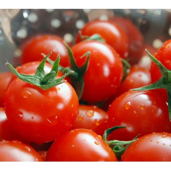 China Fresh Tomato Paste Processing Line Automatic High Capacity wholesale